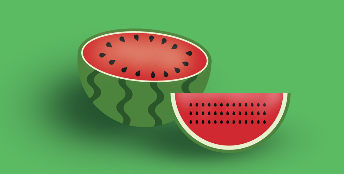 Watermelon illustration